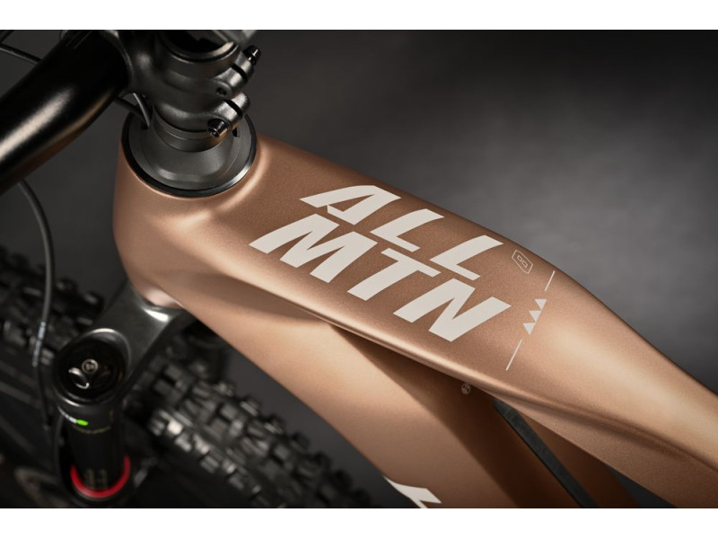 Horské elektrokolo Haibike AllMtn CF 8 | 2024