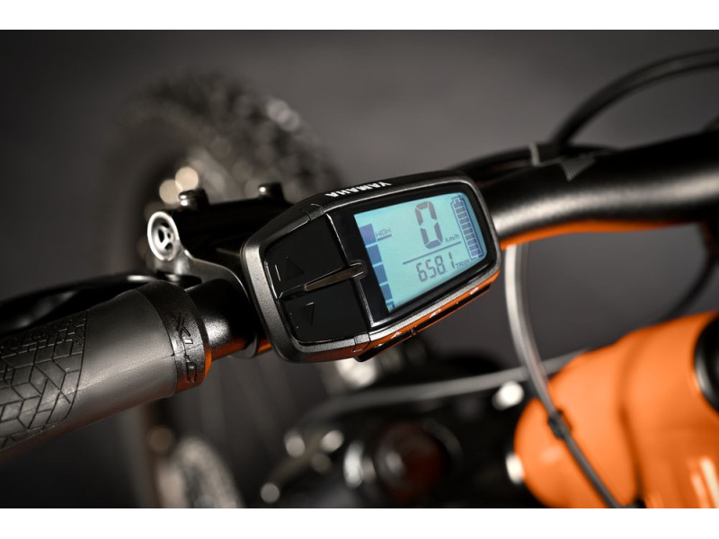 Horské elektrokolo Haibike Alltrack 6 29" | 2024