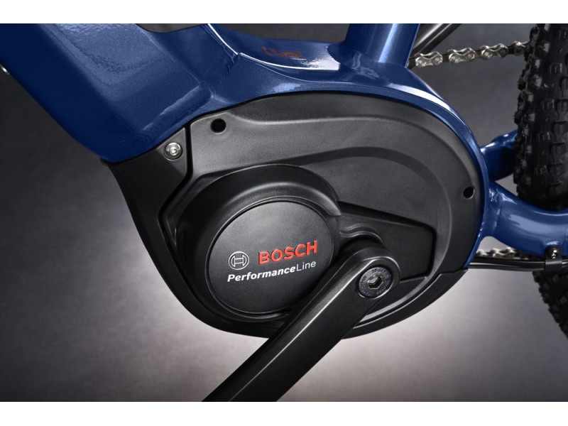 Horské elektrokolo Haibike Alltrack 4 29" | 2025