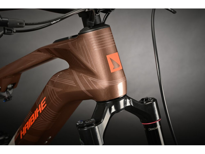 Horské elektrokolo Haibike LYKE CF 10 | 2024