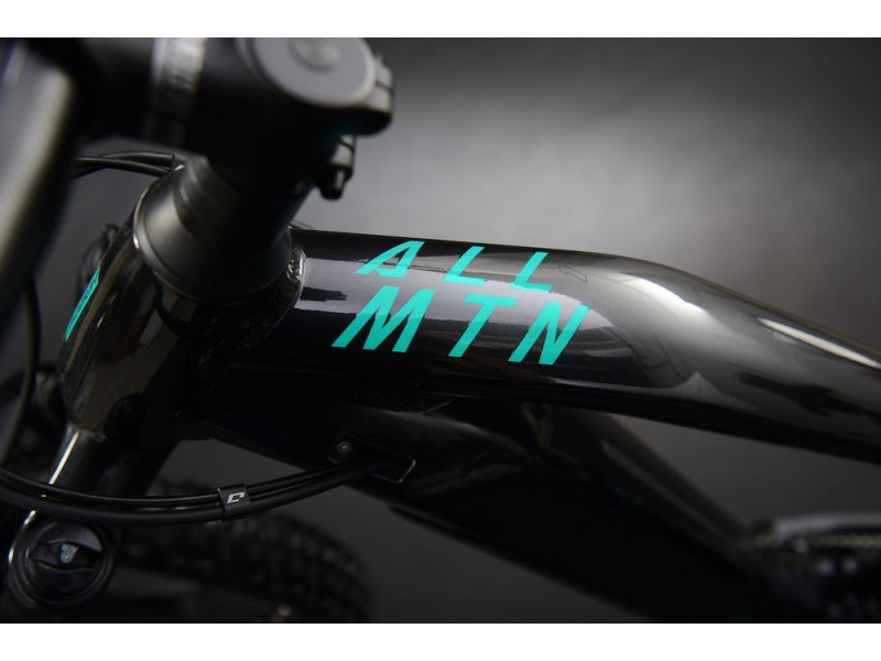 TESTOVACÍ Horské elektrokolo Haibike AllMtn 1 | 2022