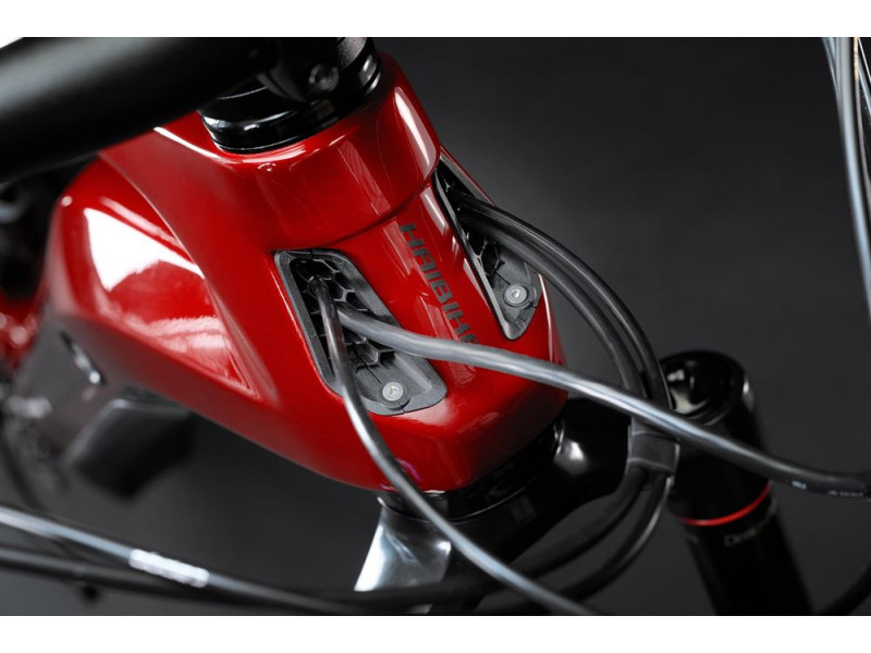 Horské elektrokolo Haibike AllMtn CF 12 | 2022