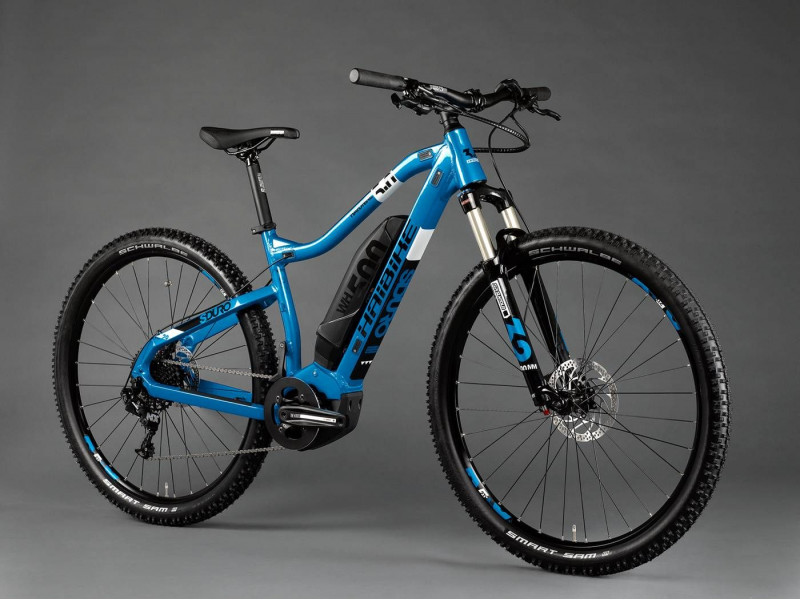 Horské elektrokolo Haibike SDURO HardNine 3.0 | 2020