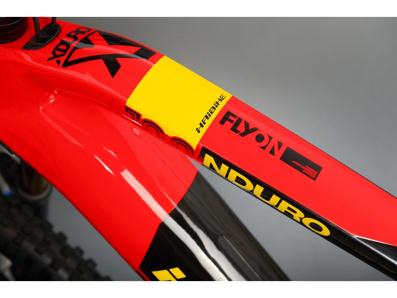 Horske elektrokolo Haibike FLYON XDURO Nduro 10.0 2021 Haibike Morava