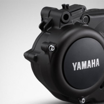 Pohon Yamaha PW-X Pohon Yamaha PW-X
