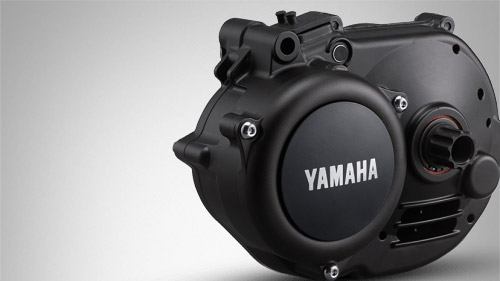 Pohon Yamaha PW-X Pohon Yamaha PW-X